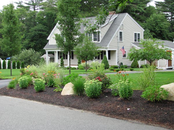 Evergreen Landscape in Duxbury, MA - design and build landscape .