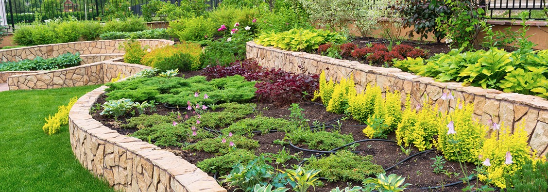 The Benefits and Beauty of Evergreen Landscaping