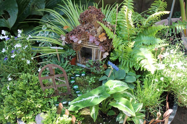 How to create a fairy garden • GreenVi