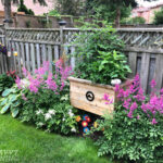 Inexpensive Raised Garden Bed Ideas: DIY Inspirati