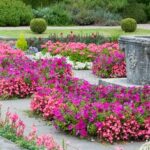 17 Best annual flower beds ideas | flower beds, flower garden .