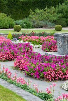 17 Best annual flower beds ideas | flower beds, flower garden .