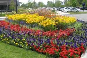 Large annual flower bed design | Annual flower beds, Perennial .