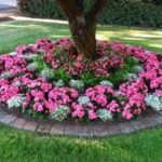 17 Best annual flower beds ideas | flower beds, flower garden .