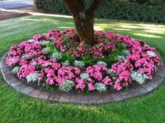 17 Best annual flower beds ideas | flower beds, flower garden .