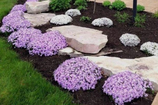 7 Fantastic Benefits of Mulching Flower Beds – Lumberjac