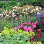 Creating a Cut-Flower Garden for Fun and Profit - FineGardeni