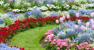 25 Flower Bed Ideas | Architectural Dige