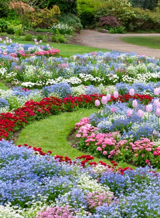 Creative Flower Bed Ideas to Beautify Your Garden