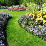 7 mistakes that are ruining your flower beds | Tom's Gui