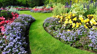 7 mistakes that are ruining your flower beds | Tom's Gui