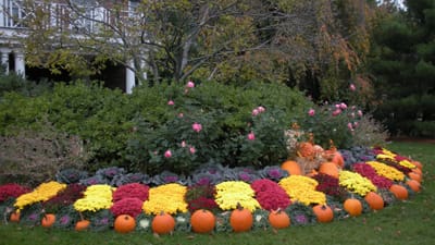 Fall Front Yard Garden Design Services in Bergen County,