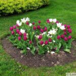 25 Spring Flower Beds and Yard Landscaping Ide