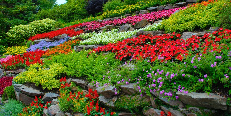 Stunning Flower Garden Designs to Enhance Your Outdoor Space