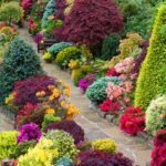 370 Backyard and flower garden ideas! | flower garden, garden .