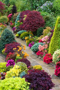 370 Backyard and flower garden ideas! | flower garden, garden .