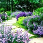 Best 25+ Flower garden borders ideas on Pinterest ... | Flower .