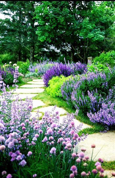 Best 25+ Flower garden borders ideas on Pinterest ... | Flower .