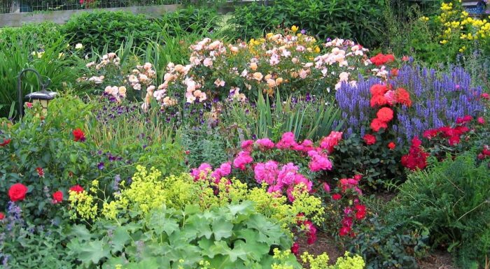 Creating a Cut-Flower Garden for Fun and Profit - FineGardeni