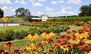 Community Flower Gardens - Western Pennsylvania Conservan