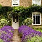 91 Best front gardens ideas | front gardens, front garden, garden .