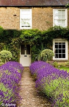 91 Best front gardens ideas | front gardens, front garden, garden .