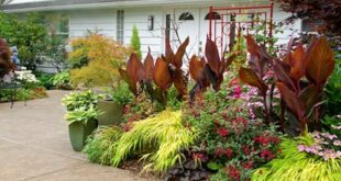 Front Yard Landscaping Ideas | Garden Desi