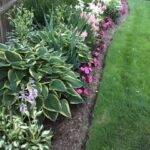 75 Front Yard Formal Garden Ideas You'll Love - April, 2024 | Hou
