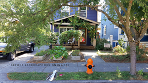 Rose City residential front yard dappled sun landscape desi