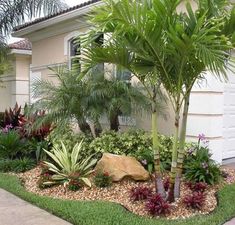 30 Florida landscaping designs ideas | florida landscaping, front .