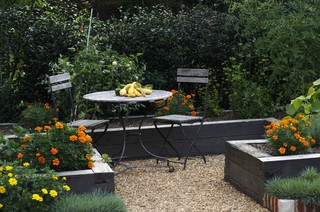 75 Black Raised Garden Bed Ideas You'll Love - April, 2024 | Hou