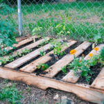 Inexpensive Raised Garden Bed Ideas : r/Gardening