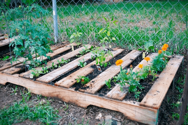 Inexpensive Raised Garden Bed Ideas : r/Gardening