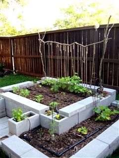 Using concrete blocks to build beds? | Cinder block garden, Garden .