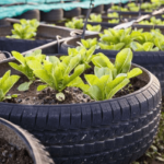 Inexpensive Raised Garden Bed Ideas : r/Gardening