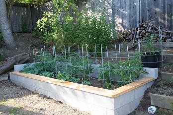 Raised garden beds | Marin Homeste