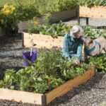 Guide to Raised Beds: Plans, Timing, Tending | Gardener's Supp