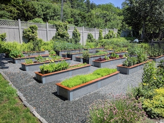 Patio Garden Beds on Concrete or Gravel? Yes! - Durable GreenB