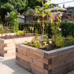 Raised Garden Beds | What raised beds are and how to set them