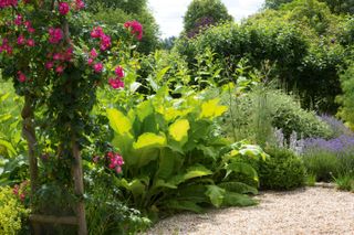 18 garden border ideas for the perfect planting scheme | Real Hom