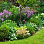 18 garden border ideas for the perfect planting scheme | Real Hom