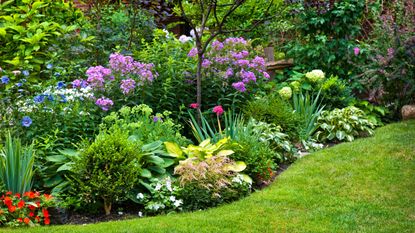 18 garden border ideas for the perfect planting scheme | Real Hom