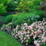 How to Plant Beautiful Garden Borders | Architectural Dige