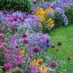 160 Best Garden Borders ideas | garden, garden inspiration, dream .