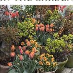 Containers in the Garden: Dalby, Claus: 9780760374658: Amazon.com .