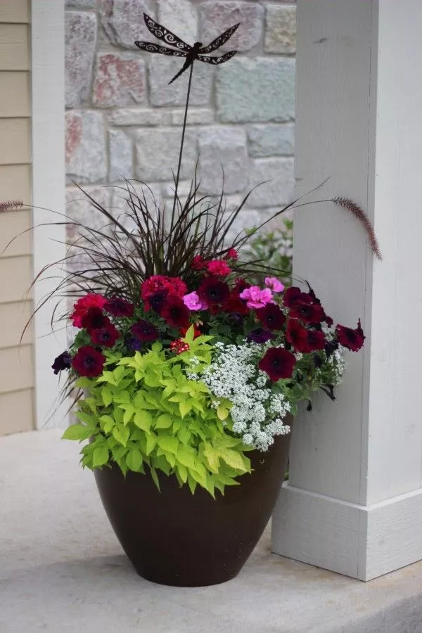 Creative Ideas for Choosing Garden
  Containers