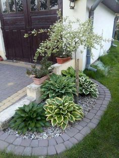 100 Best Front yard decor ideas | front yard, outdoor gardens .