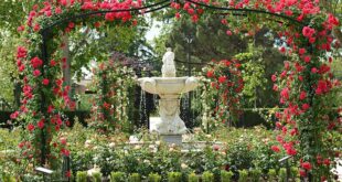 50 Best Garden Ornaments 2021 - Stylish Garden Decorations to B