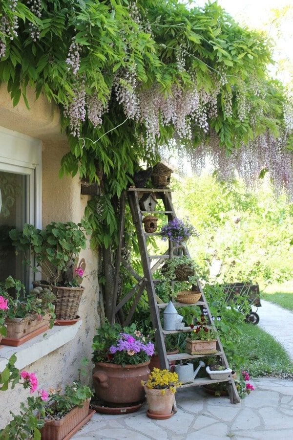 Creative Ideas for Decorating Your Garden