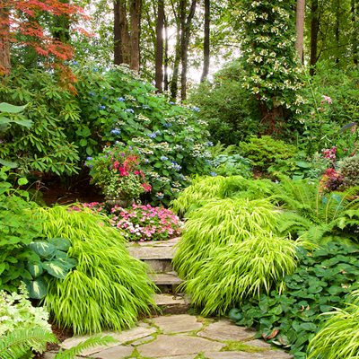 Shade Gardens: Ideas, Design & Inspiration | Garden Desi